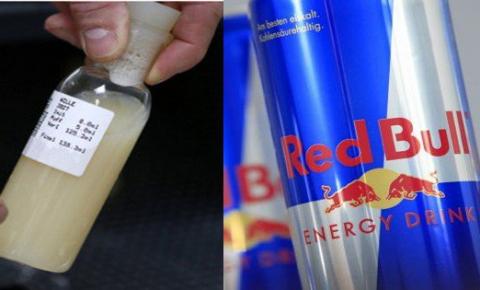 Confirmado: Urina e sêmen do Touro são os ingredientes secretos usados no Red Bull e outras bebidas energéticas!