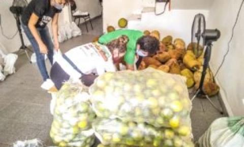 Sem-terra doam 12 toneladas de alimentos em Maceió e Santana do Ipanema 